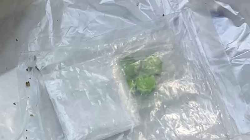 Teenagers caught at drug-fuelled party in Chai Nat resort | News by Thaiger