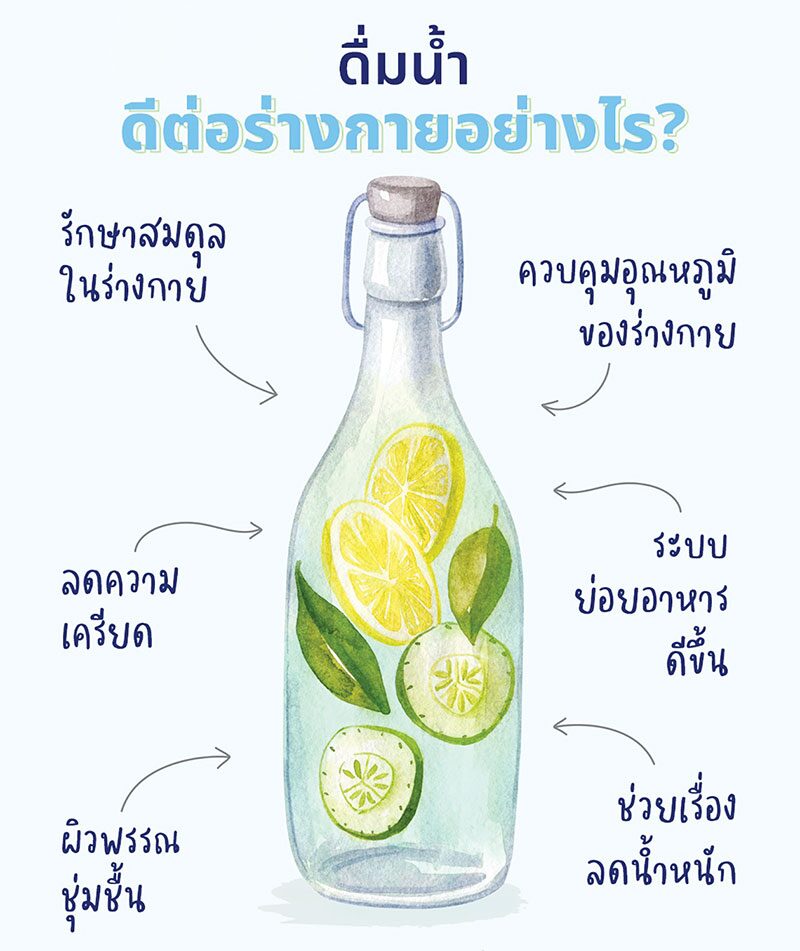 หลากหลาย - ไขความลับโภชนาการ กินแบบไหนให้สุขภาพ