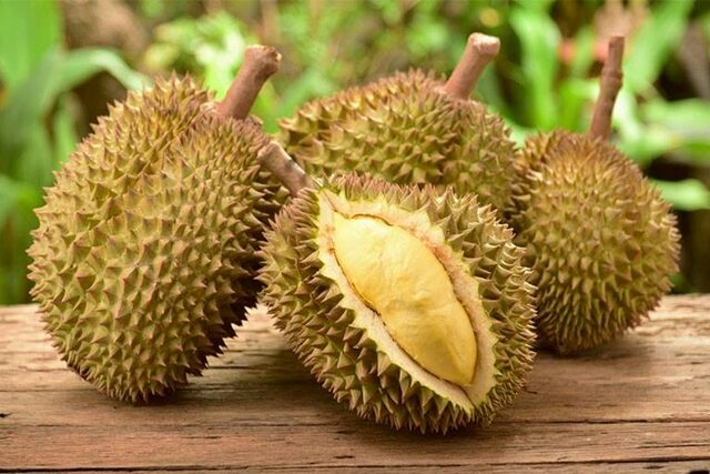 หมอเจด เตือน สายทุเรียน ต้องอ่าน กินให้เป็น สุขภาพไม่พัง กินอย่างไรถึงจะพอดี ชี้ มีทั้งข้อดีและข้อควรระวัง เผย ใครบ้างที่ไม่ควรกินเลย
