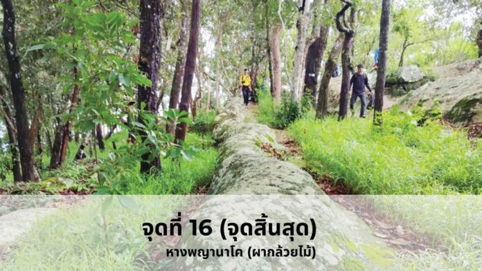 หลากหลาย