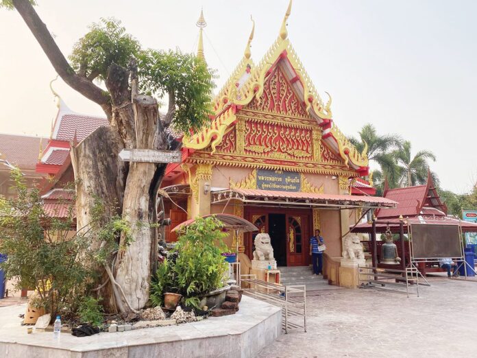 รายงานพิเศษ