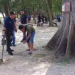 ระทึกอีก อีโอดีปูพรมค้นหา พบวัตถุต้องสงสัย 1 จุด ถูกฝังใต้ต้นสน-เก็บกู้ได้สำเร็จ