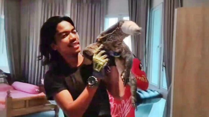 Large water monitor lizard rescued from Ayutthaya house ceiling | News by Thaiger