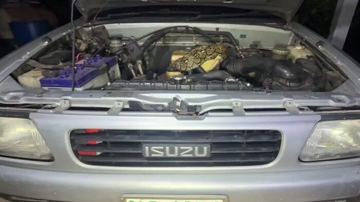 ปกติไม่เคยซื้อหวย แต่งวดนี้อดใจไม่ไหว งูเหลือม นอนขดใต้ฝากระโปรงรถ เจ้าของผวาหนัก มาถึง 2 รอบ เตรียมหาเลขเด็ดเลขนี้ติดไว้ เชื่อมาให้โชค