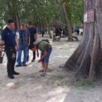 ระทึกอีก อีโอดีปูพรมค้นหา พบวัตถุต้องสงสัย 1 จุด ถูกฝังใต้ต้นสน-เก็บกู้ได้สำเร็จ