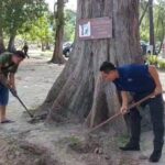 ระทึกอีก อีโอดีปูพรมค้นหา พบวัตถุต้องสงสัย 1 จุด ถูกฝังใต้ต้นสน-เก็บกู้ได้สำเร็จ