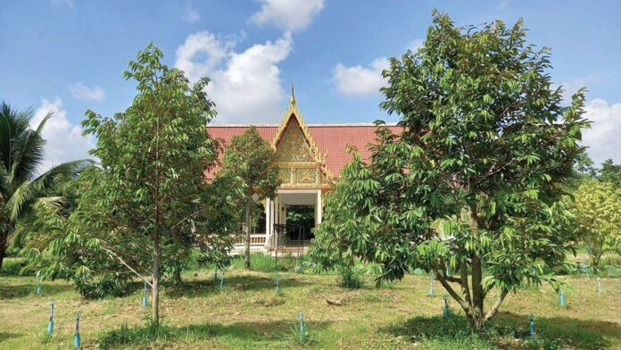 เที่ยววัด-วันหยุด