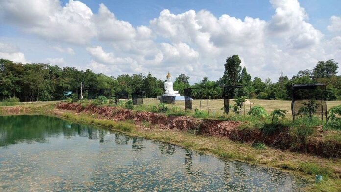 เที่ยววัด-วันหยุด