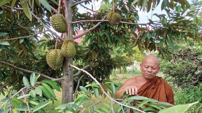 เที่ยววัด-วันหยุด
