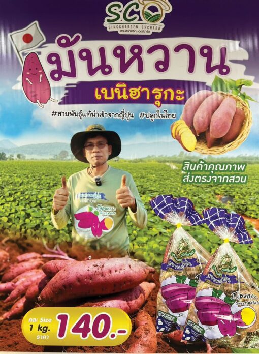 หลากหลาย