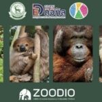 องค์การสวนสัตว์ฯ จัดเสวนา 'แพลตฟอร์ม Zoodio.live เปลี่ยนสวนสัตว์สู่โลกดิจิทัล'
