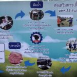 นพค.25 หนองคาย เปิดมิติใหม่ยกระดับเศรษฐกิจชุมชนเลี้ยงโควากิวเพิ่มมูลค่า-ขยายตลาด