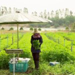 “Thai Amaranth” จุดประกายพืชไทยสู่เวทีโลก : VSC จับมือ พันธมิตร ลงนาม MOU