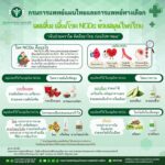 กรมการแพทย์แผนไทยฯ แนะใช้สมุนไพรดูแลผู้ป่วยโรค NCDs เชิญชวนร่วมงานสุขภาพประจำปี