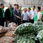 ตลาดไท เปิด “ตลาดกลางวัตถุดิบสมุนไพร” ร่วม MOU ยกระดับคุณภาพสมุนไพรไทยออกสู่ตลาด