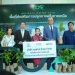 MOU ครั้งประวัติศาสตร์ เกษตรฯ ผนึก 36 พันธมิตร ยกระดับกาแฟไทยสู่มาตรฐานโลก