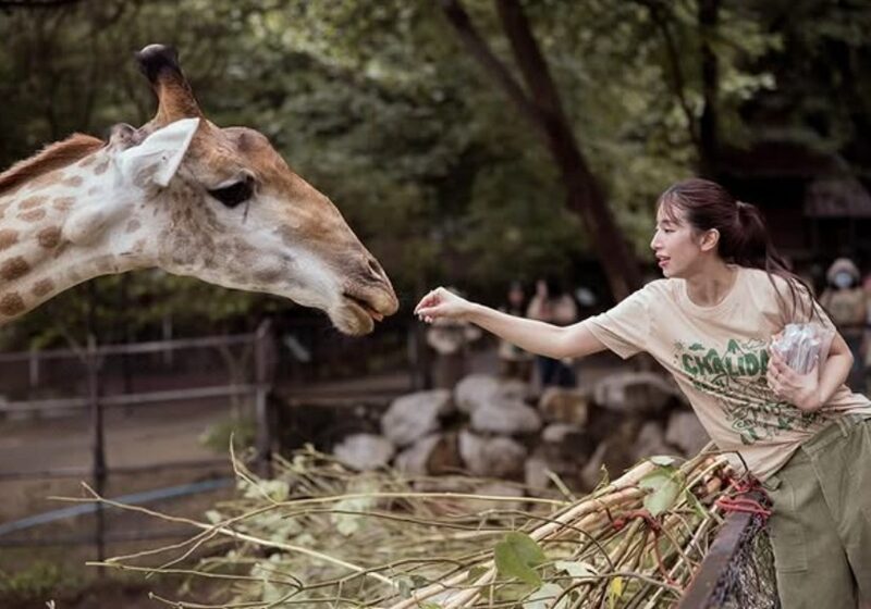 13 ปี ไม่มีแพ็คเกจนี้ “มิ้นต์ ชาลิดา” ไม่ท้อ! เป็นแฟน “ภูผา” ต้องทน เล่านาทีถูกบังคับอยู่กับยีราฟ