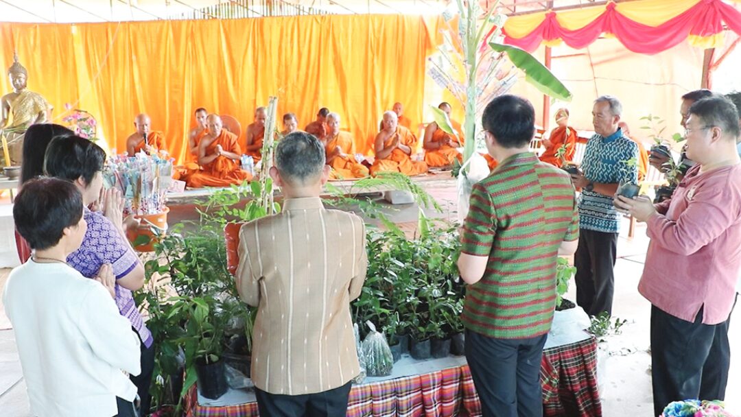 ข่าวสดพระเครื่อง - ทอดผ้าป่าต้นสมุนไพร ฟื้นฟูความรู้หมอพื้นบ้าน