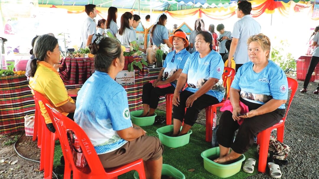ข่าวสดพระเครื่อง - ทอดผ้าป่าต้นสมุนไพร ฟื้นฟูความรู้หมอพื้นบ้าน