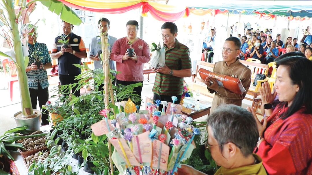 ข่าวสดพระเครื่อง - ทอดผ้าป่าต้นสมุนไพร ฟื้นฟูความรู้หมอพื้นบ้าน