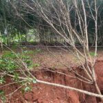 ลุยตรวจหลุมยุบ สวนยาง กว้าง 11 ม. เหตุน้ำใต้ดินพัดตะกอนออก-ทำให้เกิดโพรงใหญ่