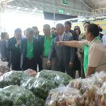 สธ. หนุน ‘ตลาดกลางวัตถุดิบสมุนไพร’ ยกระดับภูมิปัญญาไทย ปลื้ม สร้างรายได้ปท.