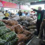 สธ. หนุน ‘ตลาดกลางวัตถุดิบสมุนไพร’ ยกระดับภูมิปัญญาไทย ปลื้ม สร้างรายได้ปท.