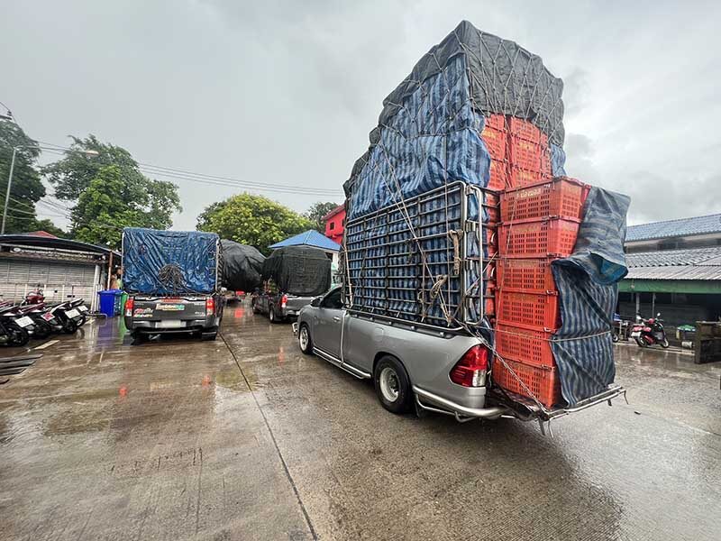 Cambodia bans Thai fruit imports at Khlong Yai checkpoint | News by Thaiger