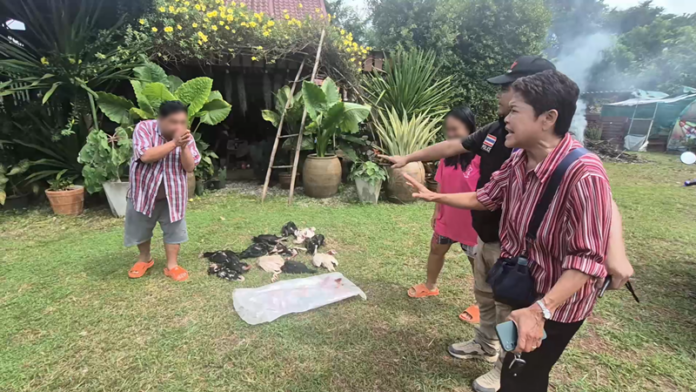 Udon Thani chicken dispute resolved after police intervention | News by Thaiger