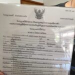ร้านกัญชา เชื่อมั่นสธ. หนุนเลิกกัญชาเสรี ชูใช้ทางการแพทย์ เล็งจ้างหมอประจำร้าน แนะควบคุมรัดกุมจริงจัง