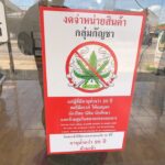 ร้านกัญชา เชื่อมั่นสธ. หนุนเลิกกัญชาเสรี ชูใช้ทางการแพทย์ เล็งจ้างหมอประจำร้าน แนะควบคุมรัดกุมจริงจัง