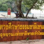 ตื่นตา กองทัพปูทหารนับล้าน หลากสีสัน โผล่อวดโฉมเต็มชายหาด อช.หาดเจ้าไหม
