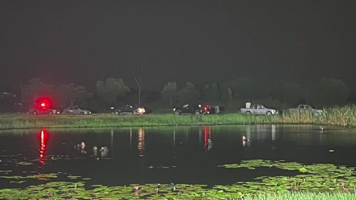 Factory worker vanishes after diving into pond to retrieve bird | News by Thaiger