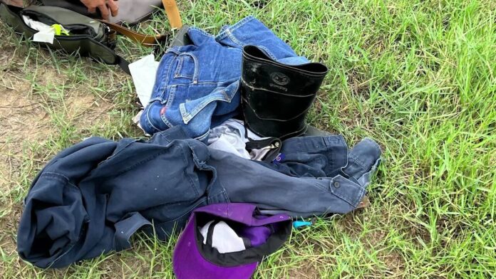 Factory worker vanishes after diving into pond to retrieve bird | News by Thaiger