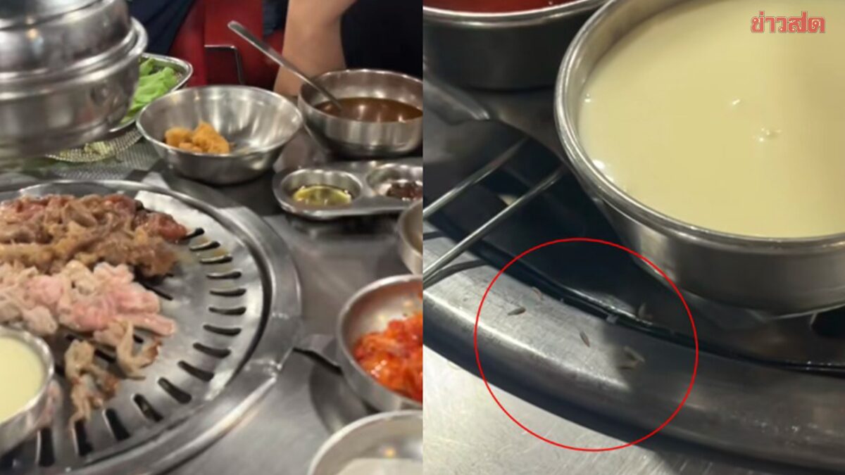 ไวรัล 17.5 ล้าน! เปิดภาพร้านปิ้งย่างเกาหลี ซูมดูแทบอ้วก อวสานอาหารเย็น