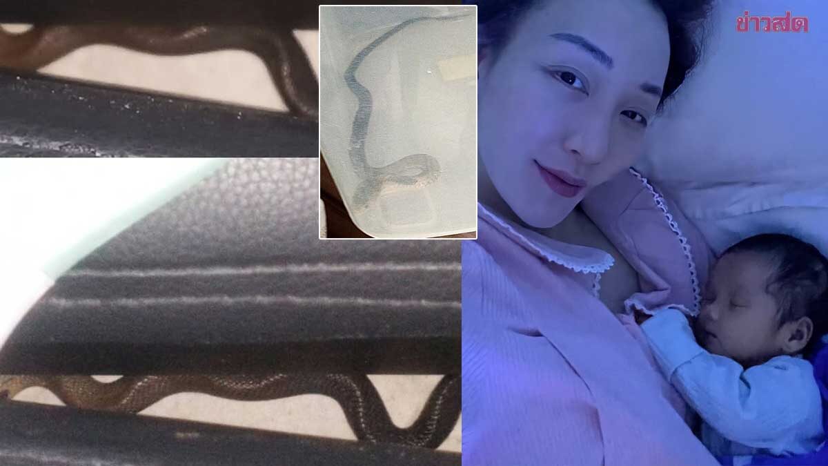 . ตู่ ปิยวดี งูเห่าเข้าบ้าน ลั่นลูกก็ร้องกินนม สามีก็ไปซื้อเกมส์ มีคนซื้อบ้านเลขที่เรียบร้อย.