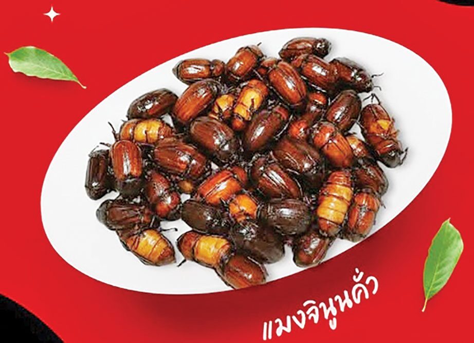 ร้านคิดฮอดอัมพวา สุดแซ่บ-จัดเต็มทุกจาน