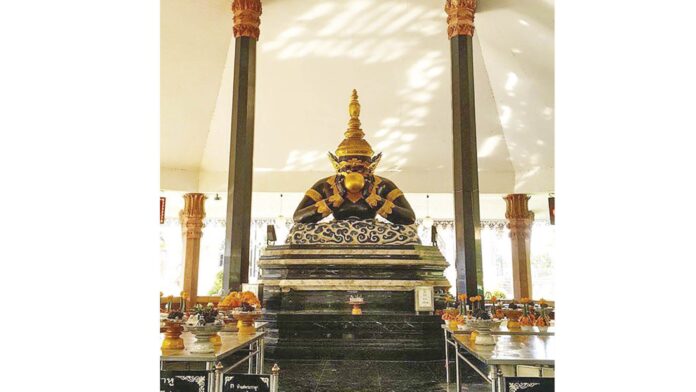 รายงานพิเศษ
