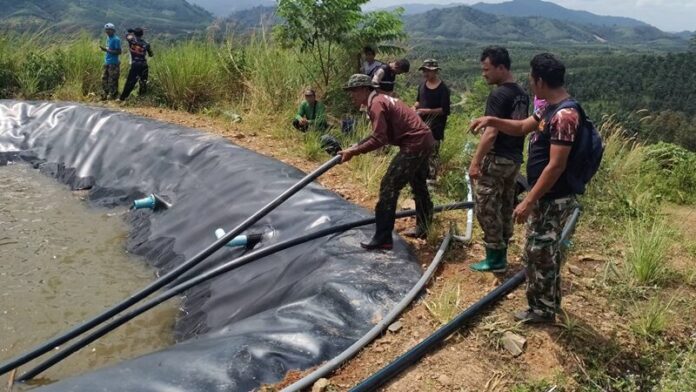 Elephant rescued from reservoir in Chumphon's Phato district | News by Thaiger