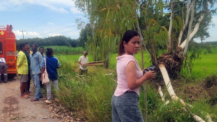 Man electrocuted, another injured in Udon Thani tree accident | News by Thaiger