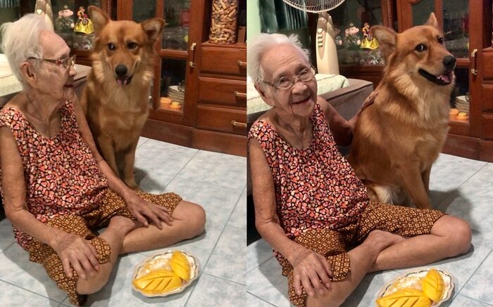 แห่อาลัย "คุณยาย" เพจลีโอไอ้หนูของยาย เสียชีวิตกะทันหัน หลังแอดมิตไม่ถึง 24 ชั่วโมง เผย อาการขณะเข้ารับการรักษา ร้องหงุดหงิดไม่อยากนอนโรงพยาบาล