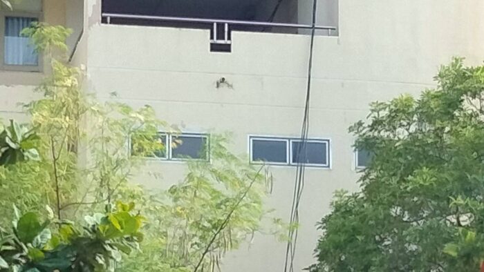 Student survives fifth-floor fall at Nakhon Ratchasima university | News by Thaiger