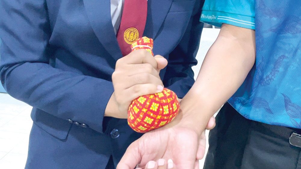 สดจากเยาวชน - ลูกประคบร้อนเด็กตรัง พริกไทยพันธุ์ปะเหลียน