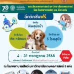 โรงพยาบาลสัตว์ มก. 5 แห่ง บริการฉีดวัคซีนฟรีแก่น้องหมา-แมว 4 -31 ก.ค.นี้
