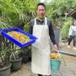 สวนสัตว์เปิดเขาเขียว ชวนร่วมกิจกรรม “Cook for Moodeng” ใกล้ชิดสัตว์ป่า เรียนรู้ดูแลน้องหมูเด้ง