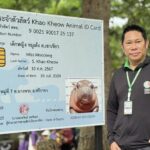 สวนสัตว์เปิดเขาเขียว จัดใหญ่ “ฉลองวันเกิดหมูเด้ง” อายุ 1 ขวบ เด็กเที่ยวฟรี 4 วันเต็ม