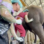 สวนสัตว์เปิดเขาเขียว ยึดมั่นการยกระดับสวัสดิภาพสัตว์ ตามมาตรฐานสากล