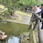 สวนสัตว์เปิดเขาเขียว ต้อนรับเอกอัครราชทูตอังกฤษ มอบเค้กอวยพรวันเกิด “หมูเด้ง”