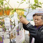รวมพลังแบบ 'บรม' บ้าน-โรงเรียน-มัสยิด สร้างภูมิคุ้มกันสังคม 'ปิดประตูบานแรกยาเสพติด'