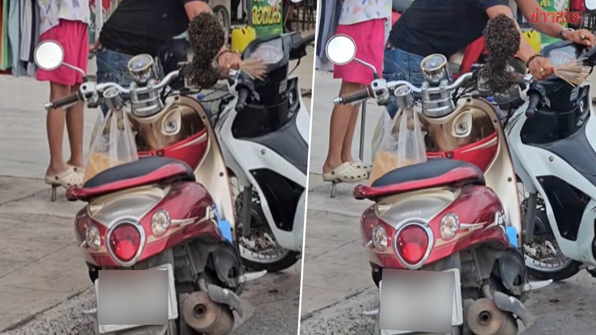 .แห่ส่องทะเบียน จอดรถไว้แปบเดียว ผึ้งเกาะทำรัง คอหวยลุ้นเลขเสี่ยงโชค.